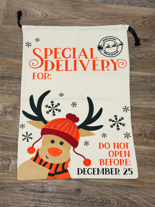 Special Delivery Santa Sack