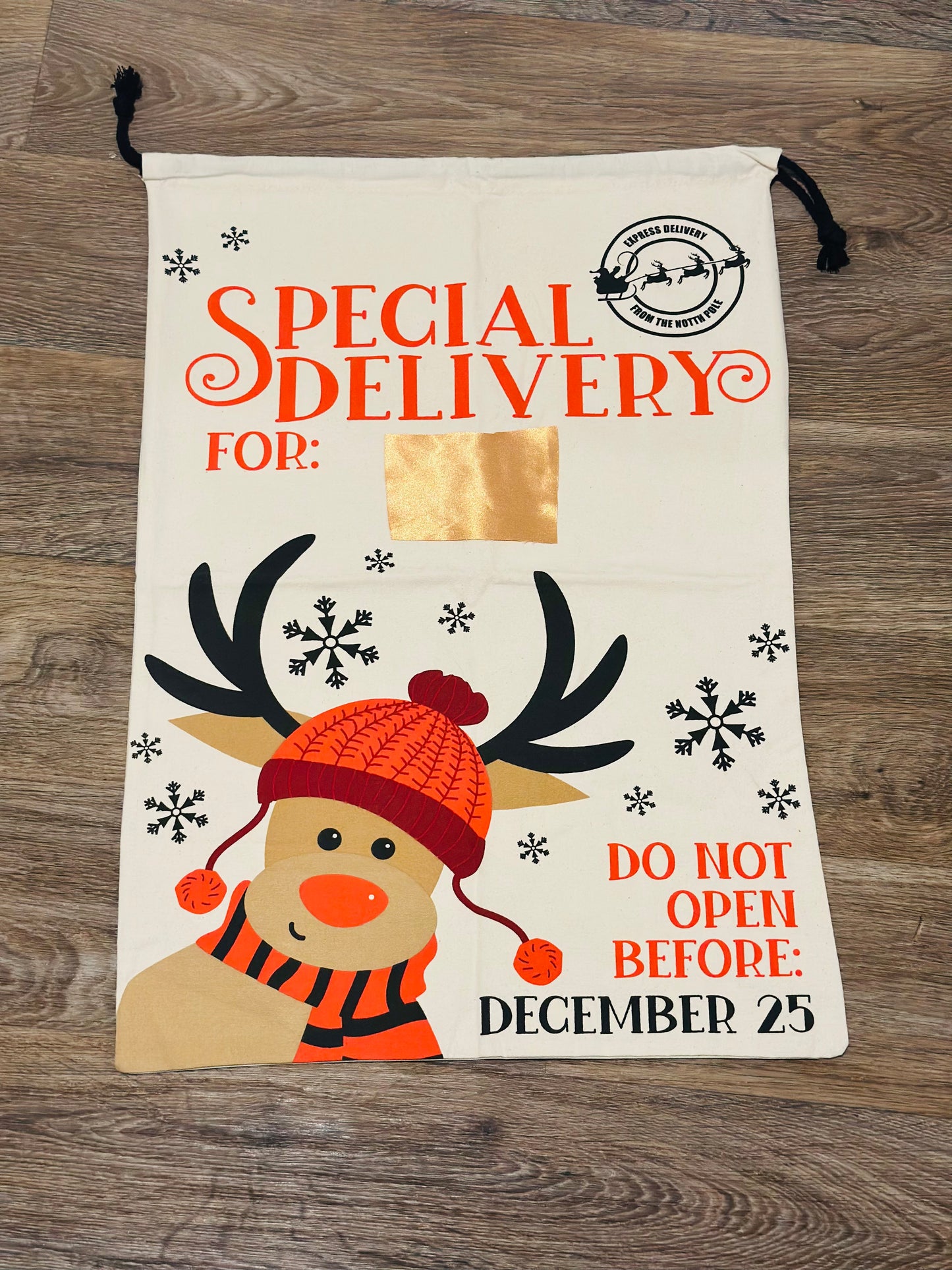 Special Delivery Santa Sack