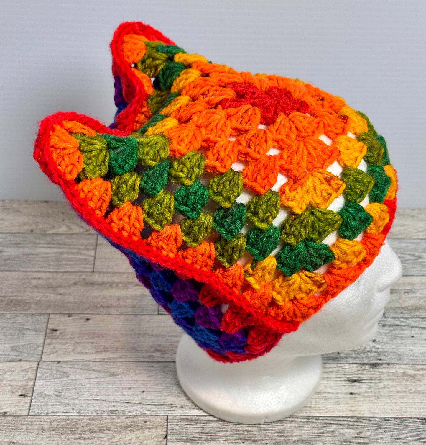 Rainbow Cat Ear Beanie