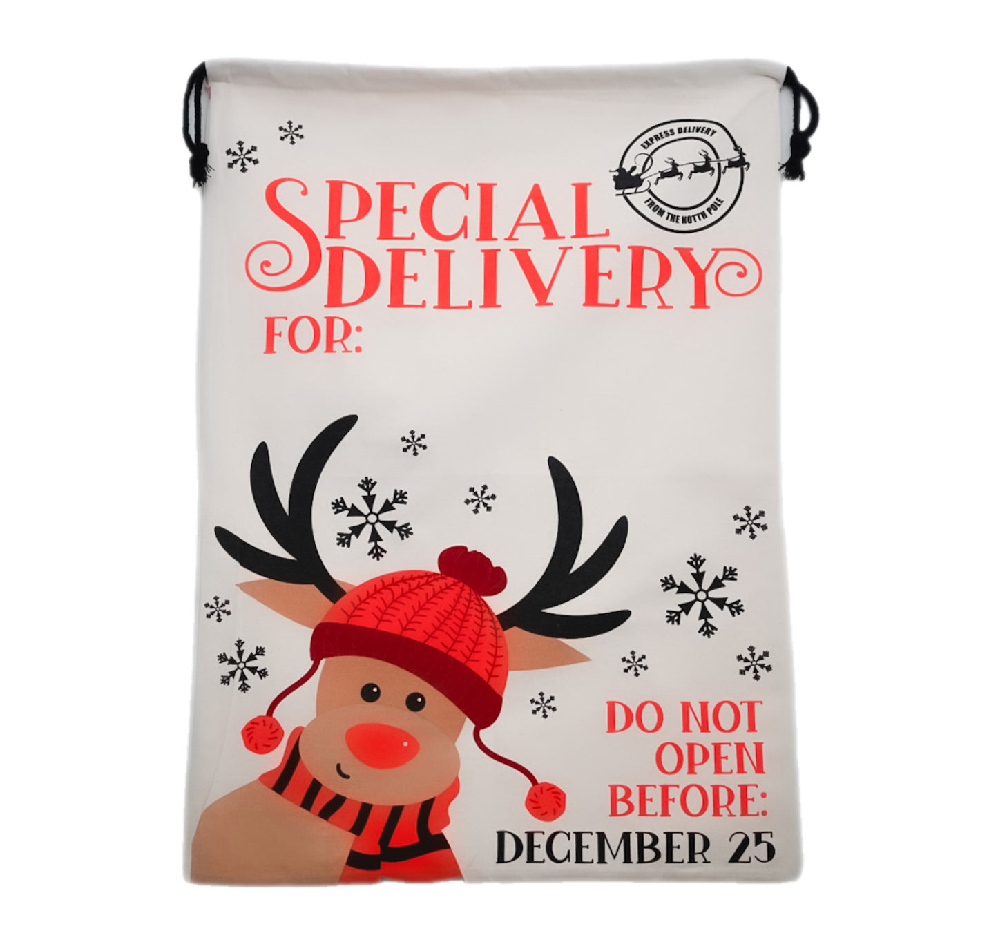 Special Delivery Santa Sack